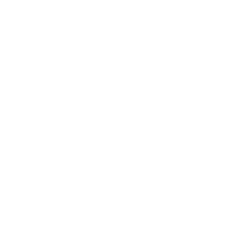 company_icon